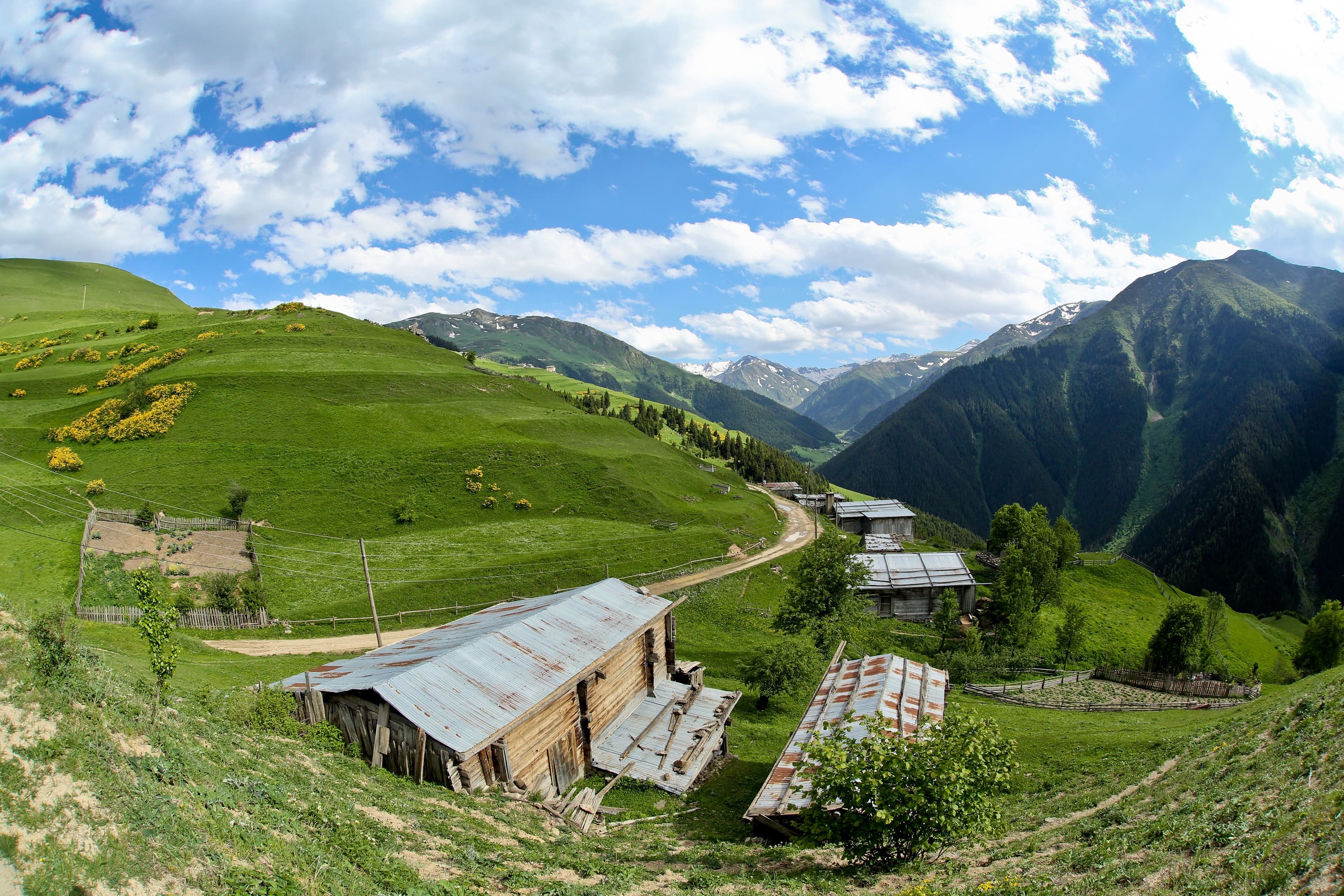 Petran (Meşeköy) Yaylası