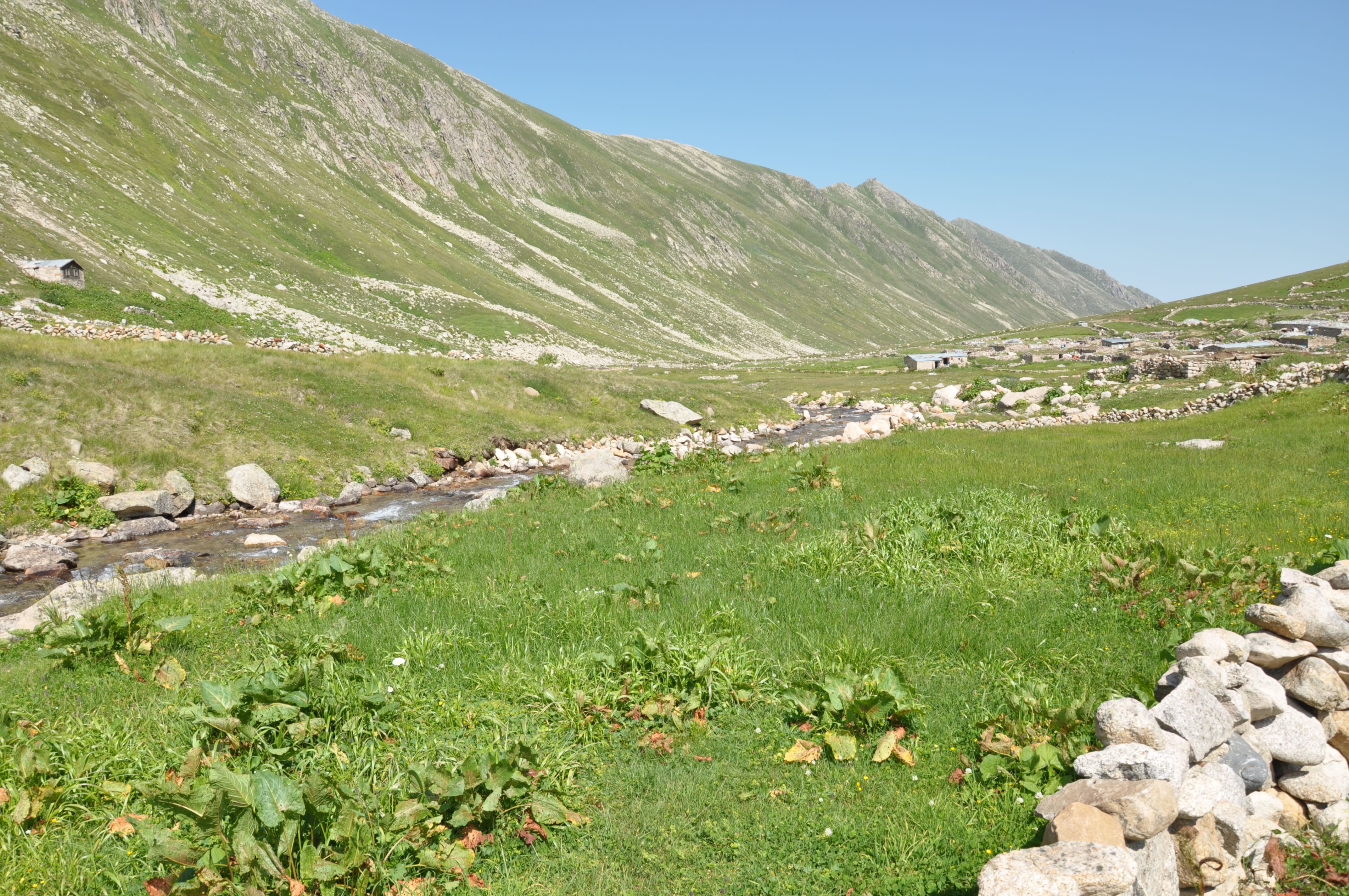 Apivanak Yaylası